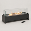 Calenta 901 Automatic Bioethanol Fire, Remote